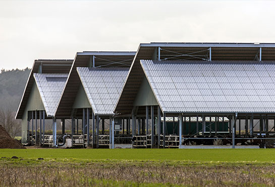 Dossier bâtiment : comment réorganiser un hangar agricole